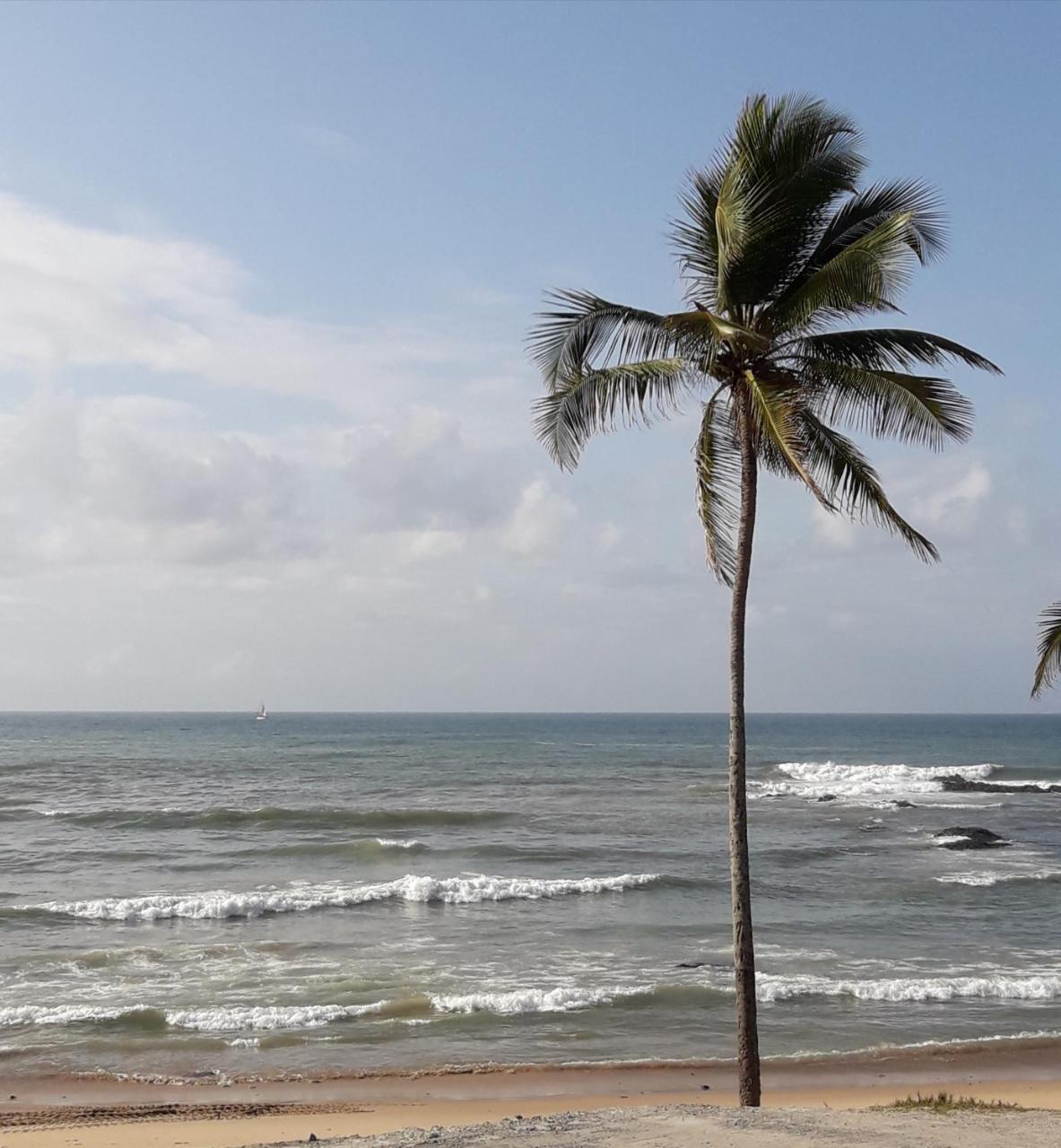 Salvador Surf Hostel Dış mekan fotoğraf